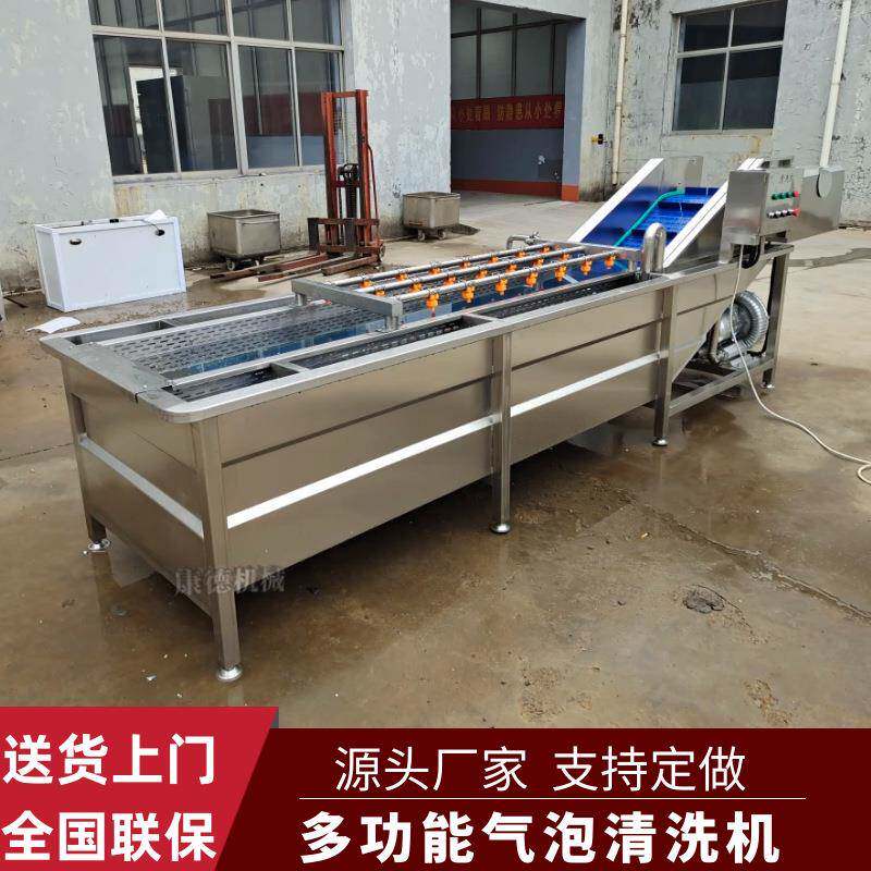 香菇干浸泡式清洗机竹笋鼓泡式清洗机西红柿高压喷淋气泡清洗机