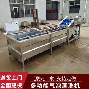 香菇干浸泡式清洗机竹笋鼓泡式清洗机西红柿高压喷淋气泡清洗机