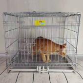 乐佳狗笼中小型犬带厕所加粗宠物笼室内可携式 折叠小兔笼鸡笼猫笼