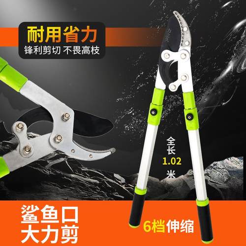 修剪树枝园林果树剪刀修枝剪高粗枝剪大力剪省力伸缩园艺工具剪子