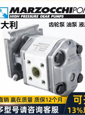 意大利马祖奇齿轮泵马达MARZOCCHI ALP2BK1-D- 6 9 10 12 22 25