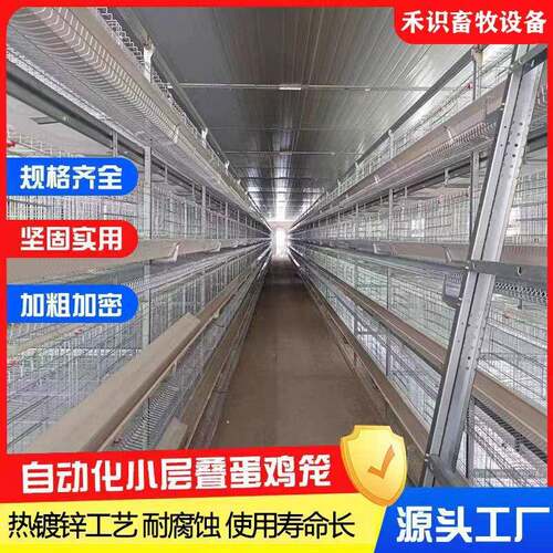 小层叠蛋鸡笼热镀锌丝加密加粗自动养殖清机专业养鸡设备自动集蛋