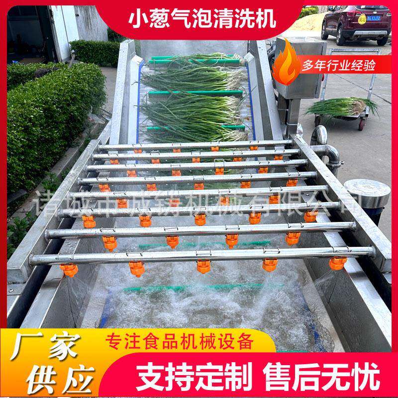 工厂用果蔬气泡清洗机竹笋鼓泡翻浪清洗机鲜花生去泥沙气泡清洗机
