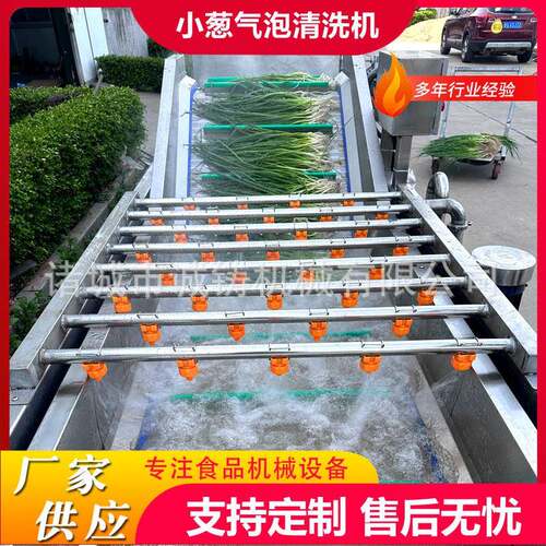 工厂用果蔬气泡清洗机竹笋鼓泡翻浪清洗机鲜花生去泥沙气泡清洗机