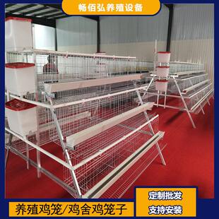 3层4门鸡笼阶梯蛋鸡笼养殖工厂阶梯型A型鸡笼热镀锌多层外贸