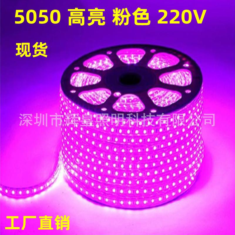 LED220V5050高亮灯带家装客厅 吊顶 防水灯带 粉色 冰蓝 蓝光灯条