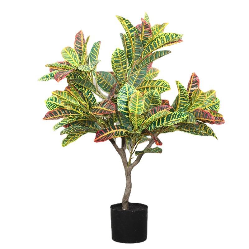 仿真橡皮树植物盆栽造景变叶木摆件洒金榕白黄边绿植橡皮树仿真