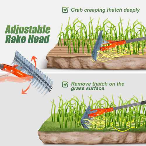 Walensee Thatch Rake 15-Inch Lawn Thatching Rake 草坪草耙