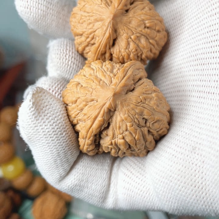 文玩回血正在直播15号全品承德密纹全品37肚