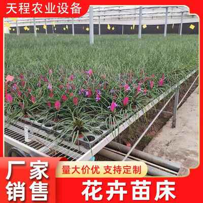 大棚室内移动育苗床金属铁丝网温室种植床育秧基地苗床厂碳钢植物