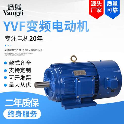 YVP-200L-4级30kw YVF变频调速三相异步交流电动机