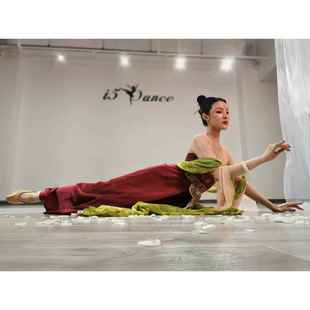 高档舞蹈演出服美关表演舞艺考女印花诃子人裙唐胡汉玉楼练功古典