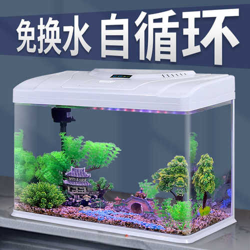 初迪2024自循环金鱼缸玻璃小型桌面客厅家用懒人免换水生态水族箱
