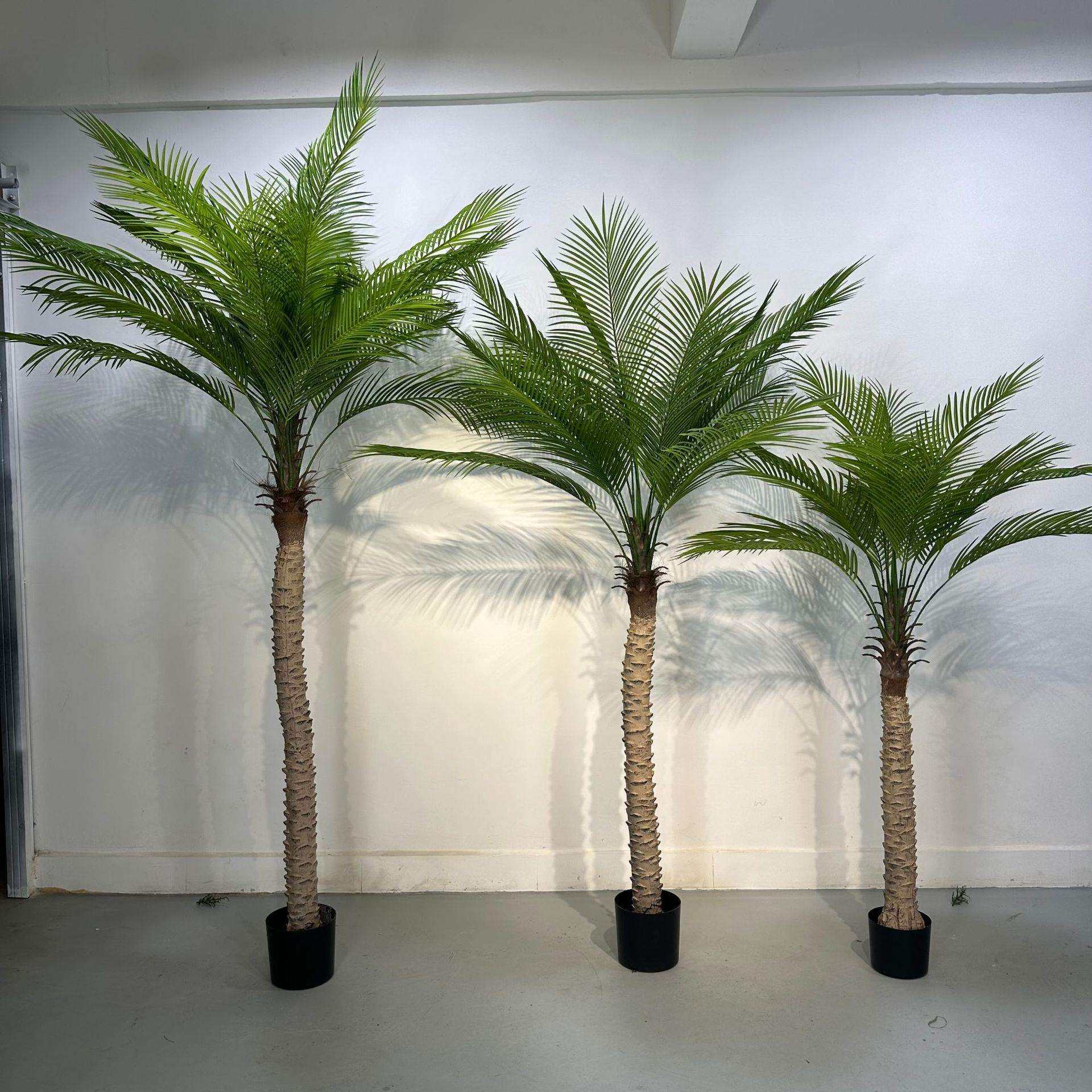 仿真针葵树小椰子树盆栽 室内外大型绿植假树摆件棕榈树盆景装饰