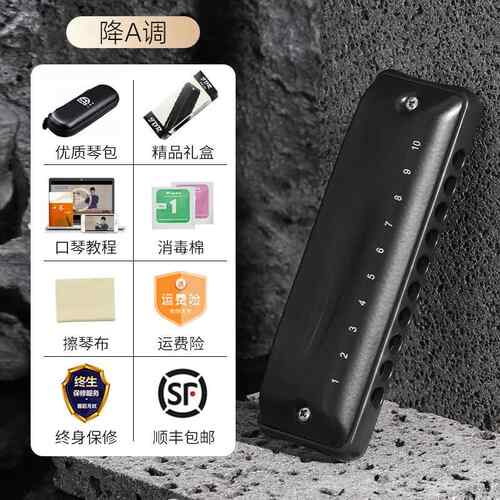 正品JDR嘉德瑞布忍鲁斯蓝调孔1口琴0孔C调者十初学者入门专业padd