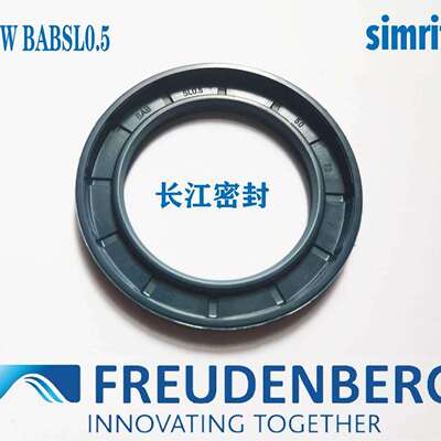 BABSL10170-200-12-14200-230-13ACFW1德国FREUDENBERG耐压油