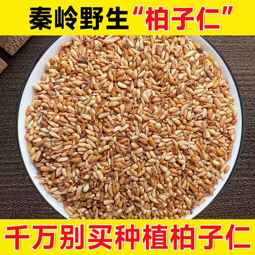 野生柏子仁500g新货正品去壳熟柏子仁枕头搭酸枣仁夜交藤泡茶水