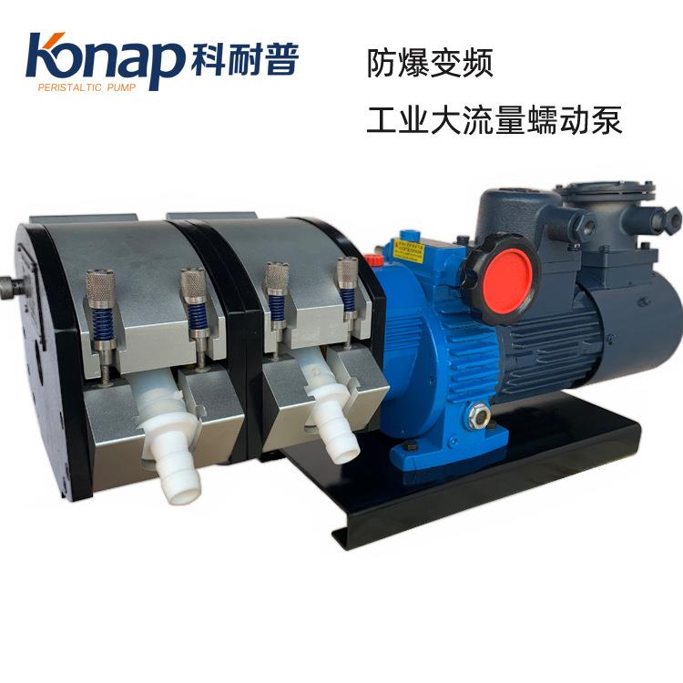 JL350工业大流量变频防爆铝合金双泵头蠕动泵厂家价格
