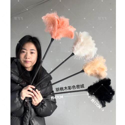 肉粉鸵鸟毛撢子胡桃木柄鸡毛撢子静电除尘掸家用扫车桌面装饰掸