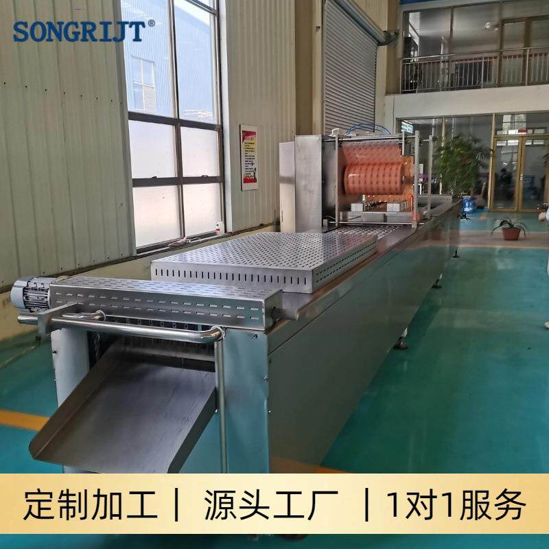 全自动肉制品真空包装机奶酪食品零食拉伸膜真空封口机源头厂家