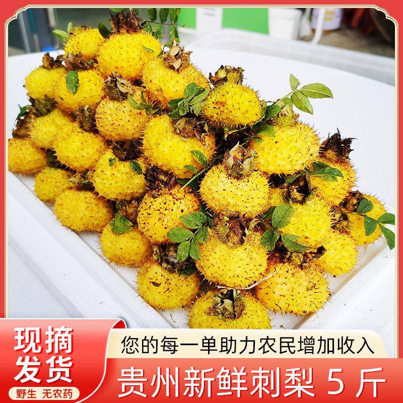 贵州特产刺梨鲜果5斤刺梨干果天刺力刺梨原汁 野生刺梨鲜果饮料