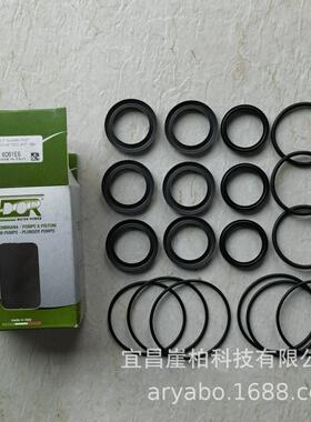 VXS-B 100.200 雾德 UDOR 水泵配件 意大利进口原装正品维修包