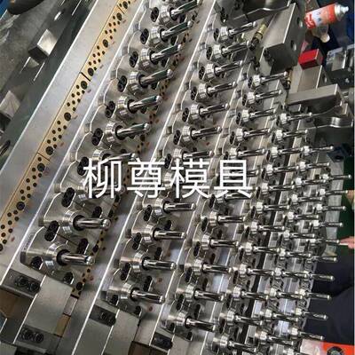厂家一步法pppet自锁热流道瓶胚水胚模具免剪胶口注塑模具定制