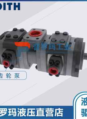 德国voith福伊特液压泵 IPC4-32 171+IPCS4-20 双联齿轮泵现货