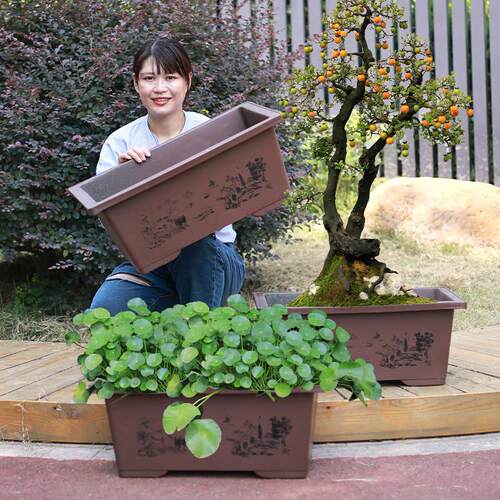 彷紫砂花盆长方形盆景盆特大号加厚马槽吸水石户外无孔荷花养鱼缸