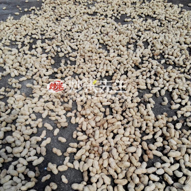 汕尾海丰水煮花生 家乡特产擂咸茶配料今年6份咸干新地豆1斤装