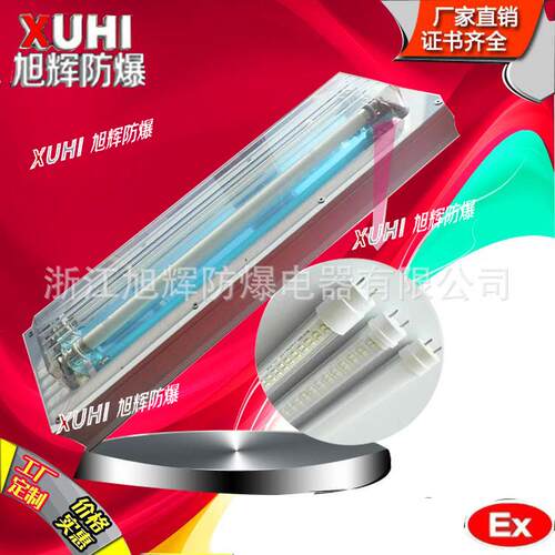 BPY不锈*BHY钢防爆日光218爆W防爆洁净灯防L灯ED双管灯照明灯三防