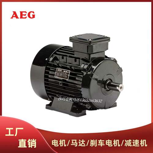 徳国AEG电机马达aeg电动机0.180.370.550.751.52.2~90W