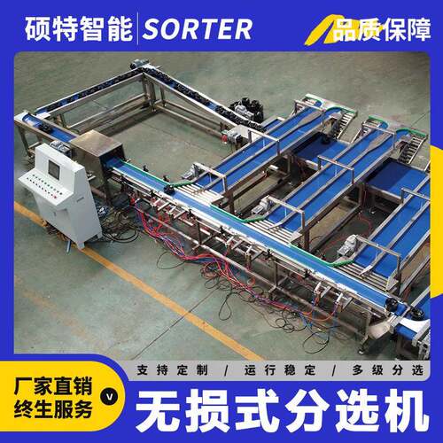 翠冠梨呵护式称重选果机石榴防磕碰等级分选机蛇果无损分拣机