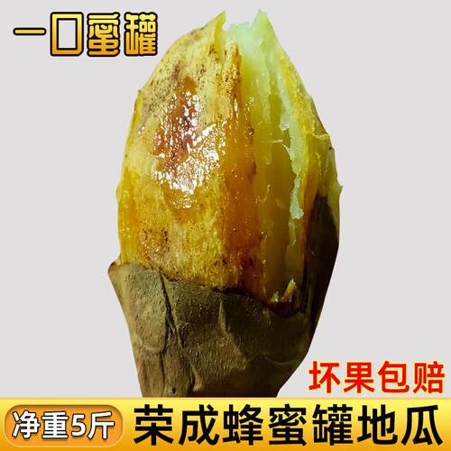 荣成蜂蜜罐地瓜山东威海特产农家黄白心红薯新鲜山芋番薯香糯甜