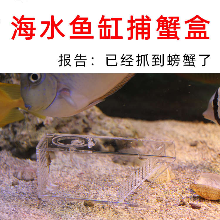 鱼缸捕蟹盒海水鱼缸捕蟹器免操作捉蟹抓蟹捕蟹器捕虾捉虾螺免操作