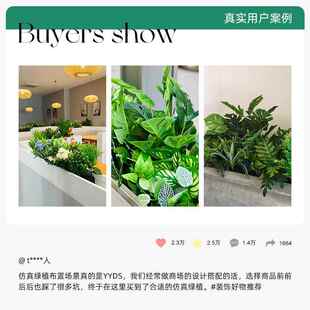 仿真绿植组合盆栽造景盆栽组合天堂鸟绿萝组合室内外装 饰组合盆栽