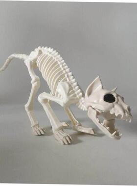 Halloween Skull Bat spider scorpion animal skeleton skull
