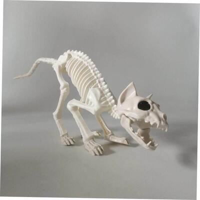 Halloween Skull Bat spider scorpion animal skeleton skull