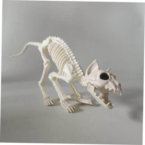 Halloween Skull Bat spider scorpion animal skeleton skull