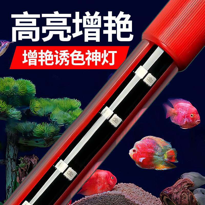 增艳诱色2025新款鱼缸灯led防水灯超亮潜水照明灯管红龙增艳