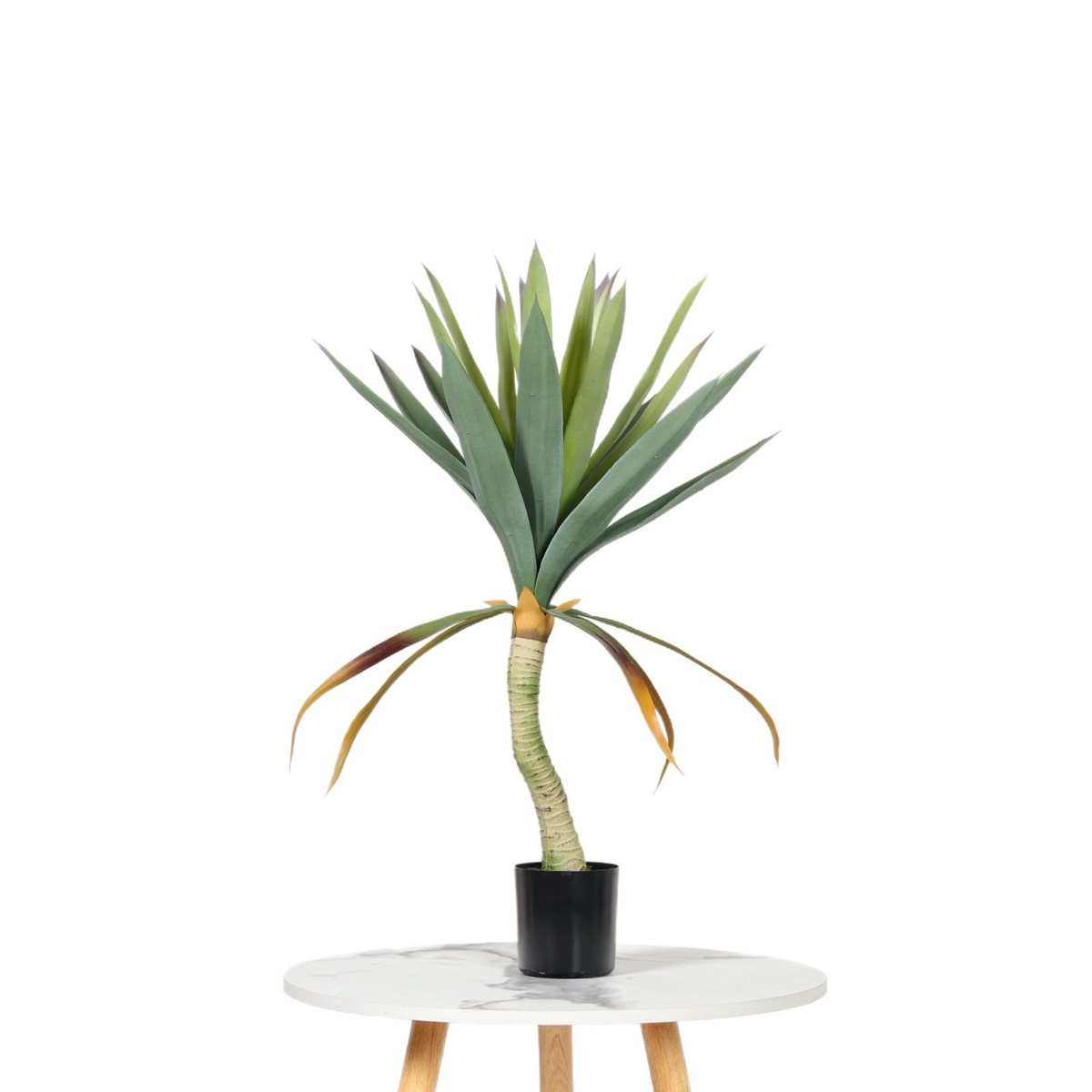 仿真龙舌兰盆栽 大型仿真绿植室内落地装饰摆件 仿生热带植物造景,鲜花速递/花卉仿真/绿植园艺,仿真绿植,淘宝优惠券,粉丝福利购,淘宝优惠卷