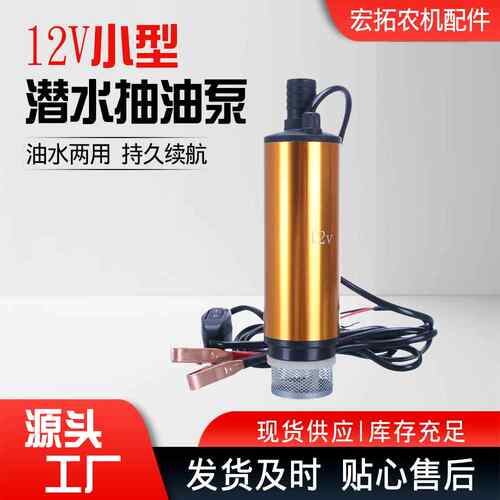 12V电动抽油泵抽水泵车载式小型柴油加油泵自吸潜水泵油抽子