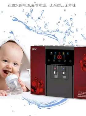 新飞净水器加热一体反渗透直饮机BR802A自吸水壶豪华款过滤芯配件