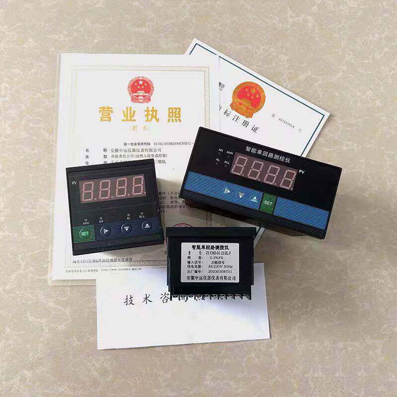 智能数显报警仪闪光报警仪PT100温度探头 温度传感器铂热电阻探头