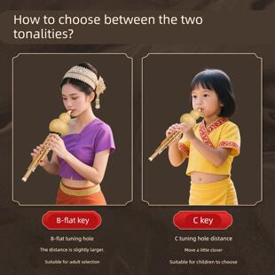 奇美葫芦丝乐器小学生专用C调降B调防摔儿童初学者紫竹胡葫丝