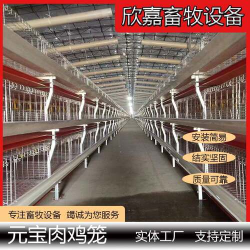元宝肉鸡笼冷镀后热镀自动化喂料饮水清粪鸡舍养殖场家用养殖量高