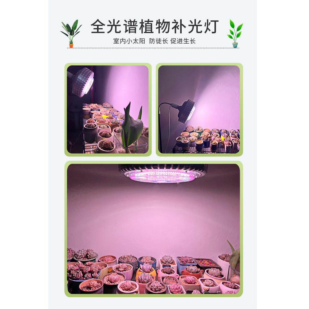 兴瑞多肉补光家用着色全光谱植物生长补光绿色植物花补光
