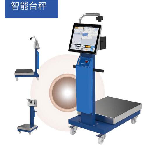 颖领智能电子秤农贸商超食堂分拣秤物联网电子称重台秤tcs15kg