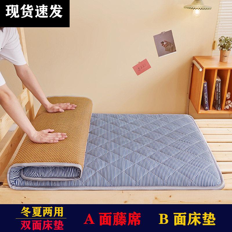 大学生宿舍专用单人床垫家用打地舖睡垫子冬夏两用软垫床褥子垫被