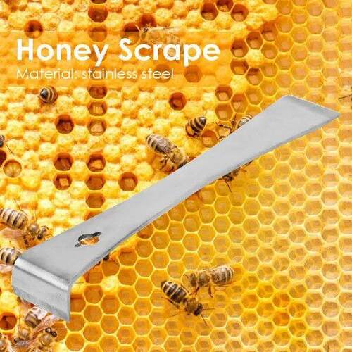Stainless Steel Hive Bee Equipment Scraper with Hook Honey